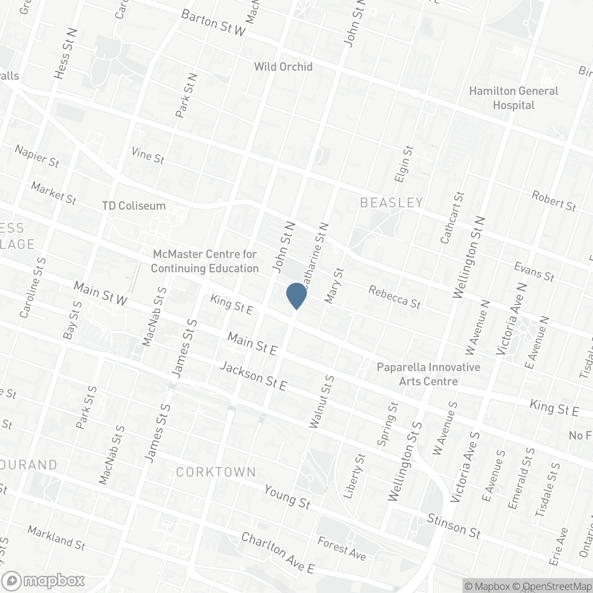 80 KING WILLIAM Street Unit# 314, Hamilton, Ontario L8R 0A1